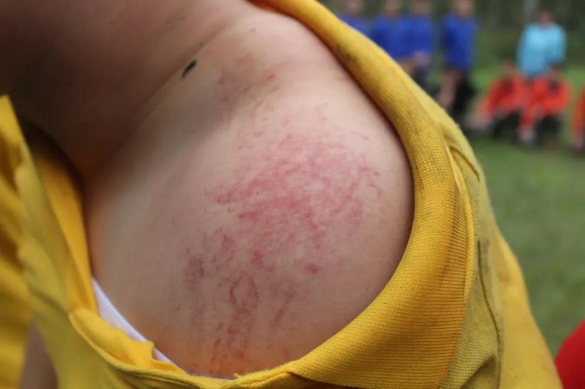 水思源——熔煉團(tuán)隊、拓展未來!